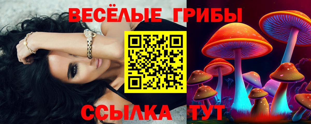 Елабуга  Псилоцибиновые грибы мицелий  Вход с VPN 