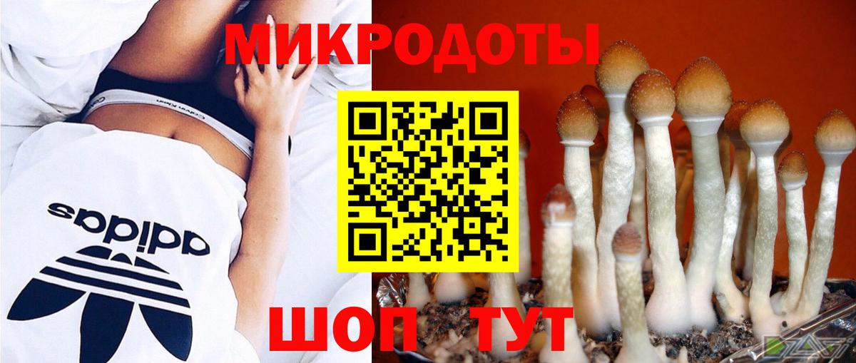 Галлюциногенные грибы мухоморы Елабуга